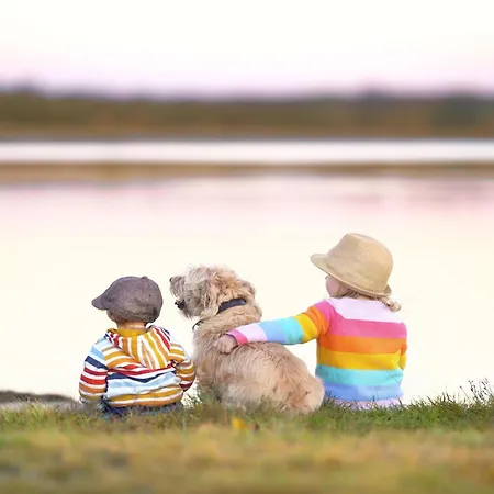 Bewusstsein - Modernes Mit Terrasse, Walk-in-dusche & Wellnesszugang * Krakow am See